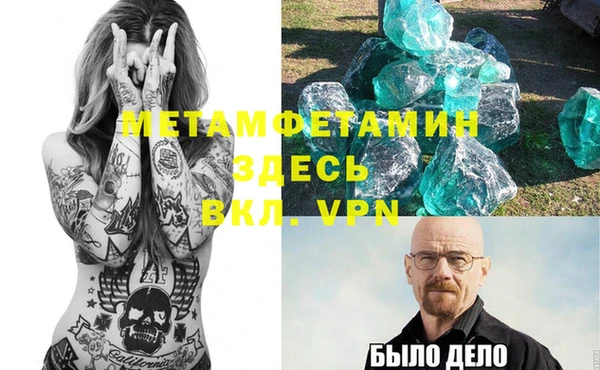 сатива Новокубанск