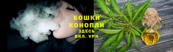 ешки Новодвинск