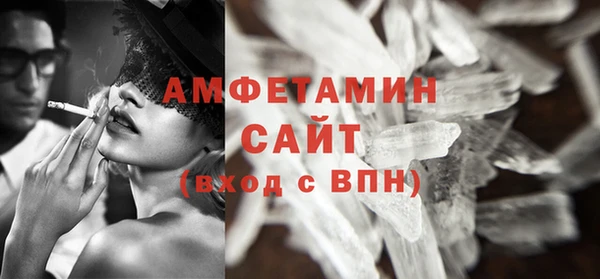 прущие грибы Новозыбков