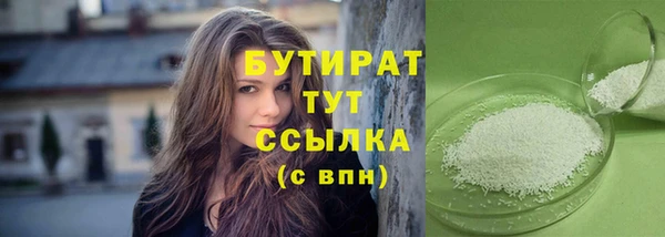 прущие грибы Новозыбков
