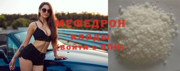 сатива Новокубанск