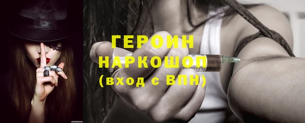 прущие грибы Новозыбков