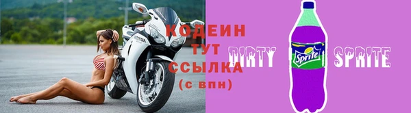 прущие грибы Новозыбков
