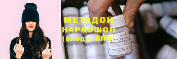 сатива Новокубанск