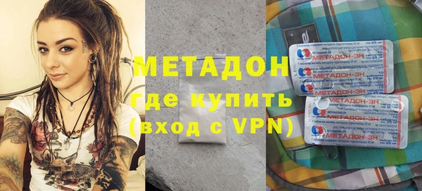 прущие грибы Новозыбков