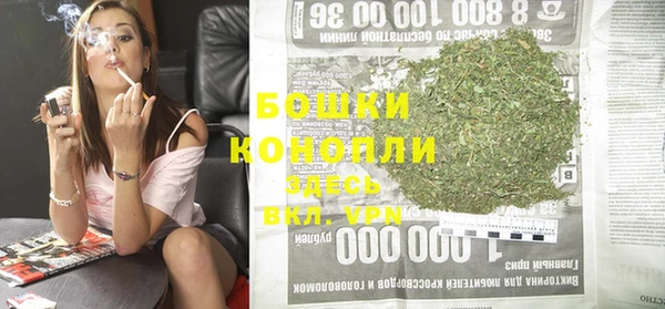 ешки Новодвинск
