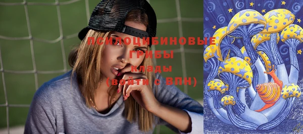 альфа пвп Няндома