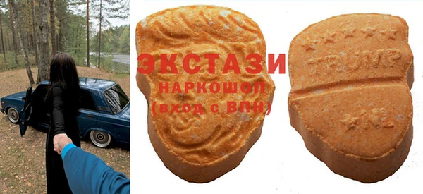 прущие грибы Новозыбков