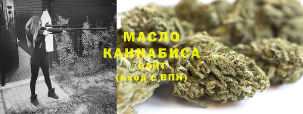 ешки Новодвинск