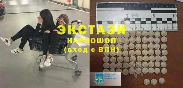 сатива Новокубанск
