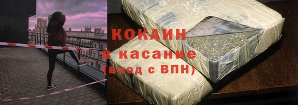 сатива Новокубанск