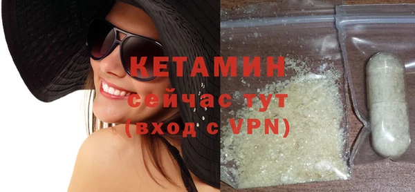 прущие грибы Новозыбков