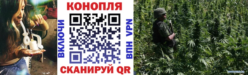 Бошки Шишки Amnesia  цена   Константиновск 